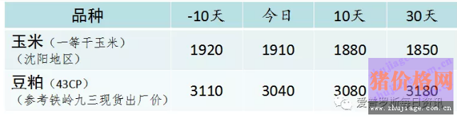 ۼZ߷弴R<a href=http://www.keyuanhong.com/jiage/yumi/ target=_blank class=infotextkey></a>rL߀ǿ